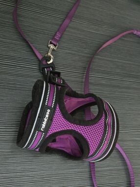 Purple Rabbitgoo Mesh Pet Harness with Matching Leash